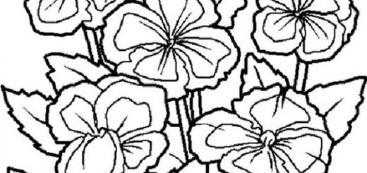 ausmalbilder blumen 10