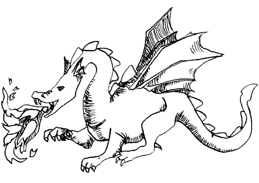 ausmalbilder drachen (13)