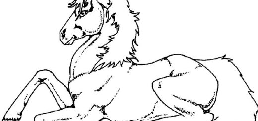 ausmalbilder Einhorn 20