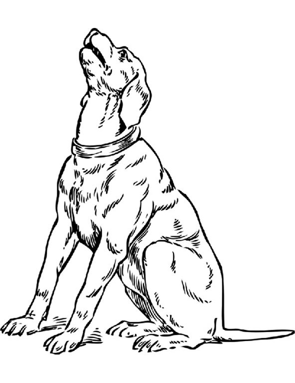 ausmalbilder hunde (7)