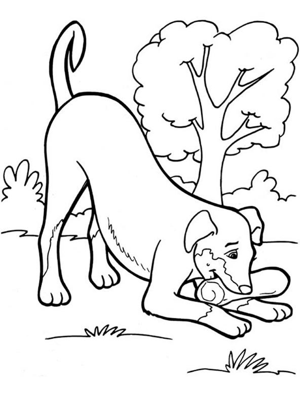 ausmalbilder hunde (9)