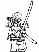 Ninjago (14)