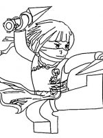Ninjago (16)