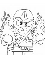 Ninjago (17)