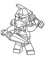 Ninjago (18)