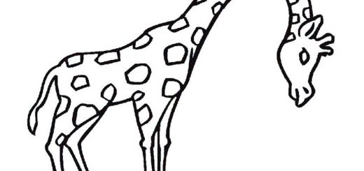 ausmalbilder giraffe