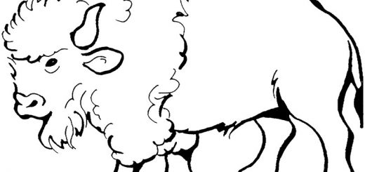 ausmalbilder Büffel