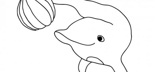 ausmalbilder delfine 12
