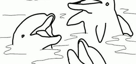 delfine zum ausmalen bilder 5