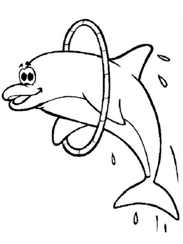 ausmalbilder delfine 6