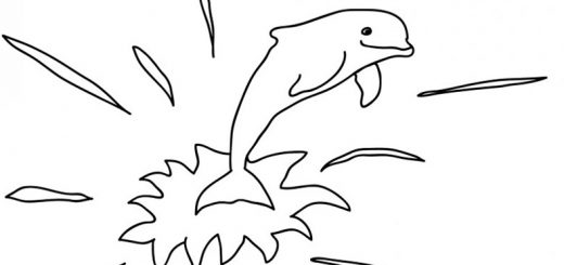 delfine ausmalbilder 7