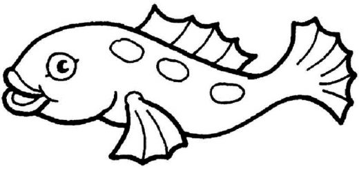 fische bilder 13 zum malen