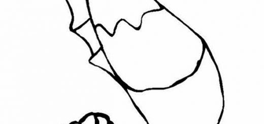 ausmalbilder Seepferdchen