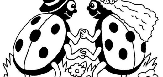 Zwei Marienkäfer zum ausmalen