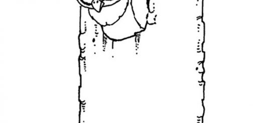 Ausmalbilder Vögel, Eule in einem Baum